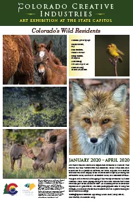 screenshot of the poster for this event featuring five photographs of wildlife